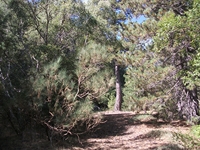 rrente Quarantore-20110911 027